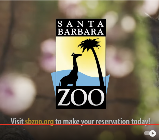 santa barbara zoo